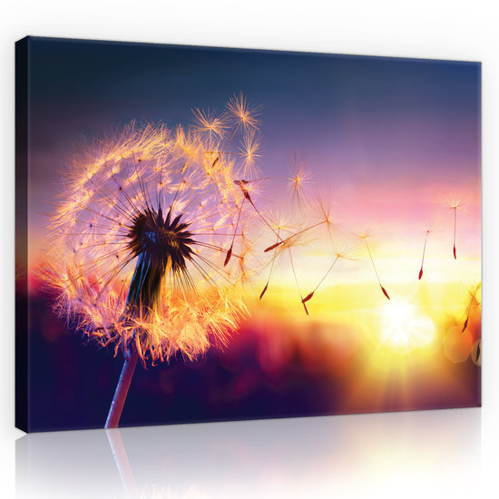 Dandelion Canvas Schilderij PP11416O1