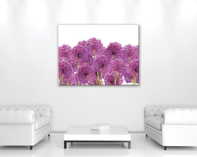 Flower of garlic Canvas Schilderij PP11398O1