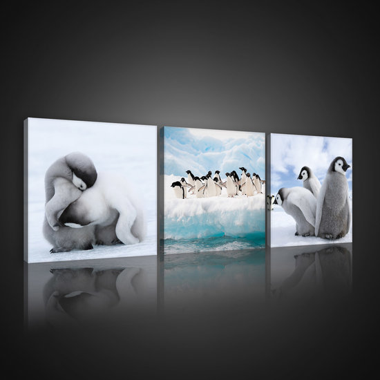 Penguins Canvas Schilderij PS10536S13