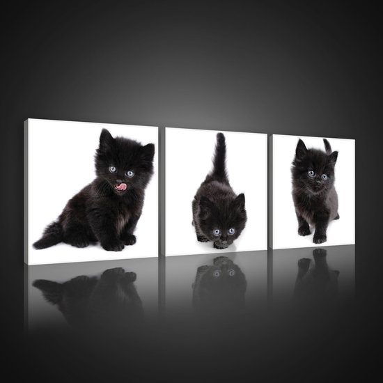 Black Kittens Canvas Schilderij PS10535S13