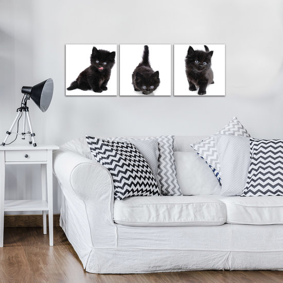 Black Kittens Canvas Schilderij PS10535S13