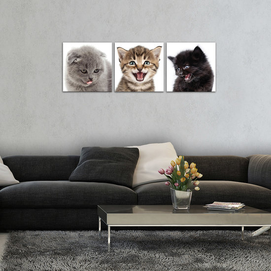 Cheerful Kittens Canvas Schilderij PS10534S13