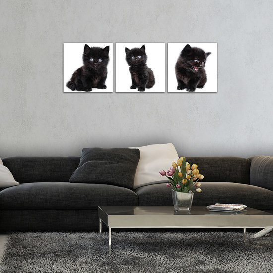Black Kittens Canvas Schilderij PS10533S13