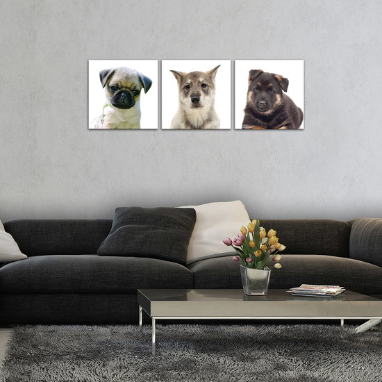 Puppies Canvas Schilderij PS10532S13