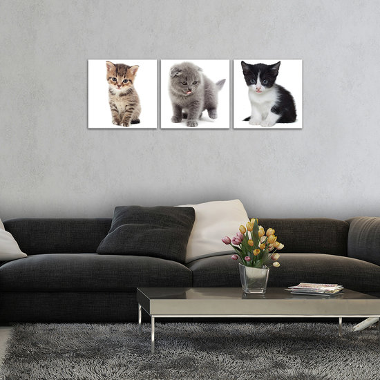 Sweet Kittens Canvas Schilderij PS10531S13