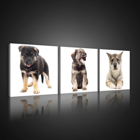 Sweet Puppies Canvas Schilderij PS10529S13