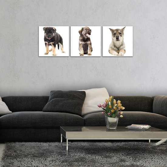 Sweet Puppies Canvas Schilderij PS10529S13