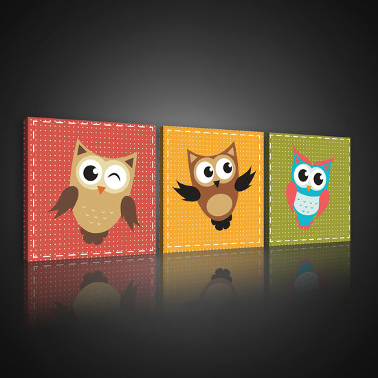 Colourful Owls Canvas Schilderij PS10538S13