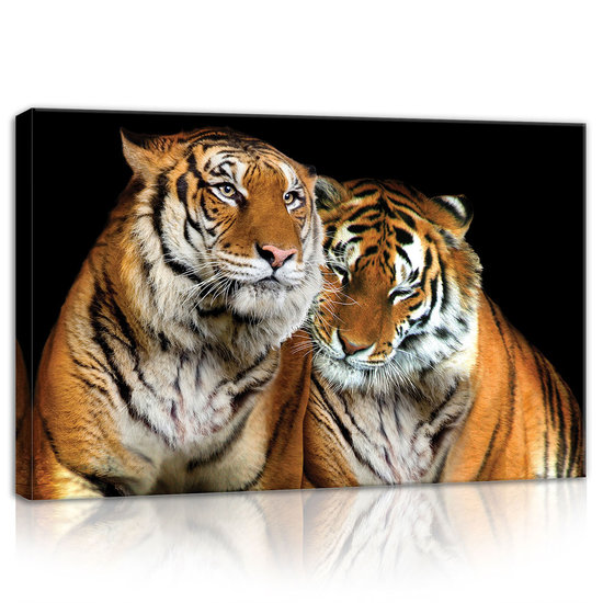 Tigers Canvas Schilderij PP21403O4