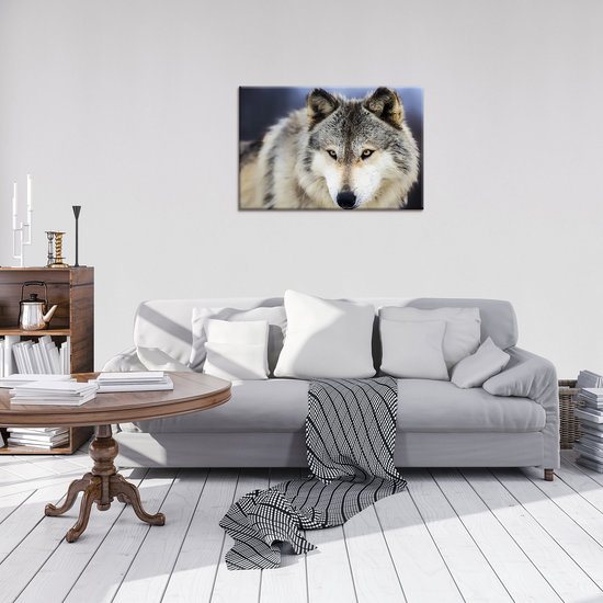 Snow Wolf Canvas Schilderij PP20308O4