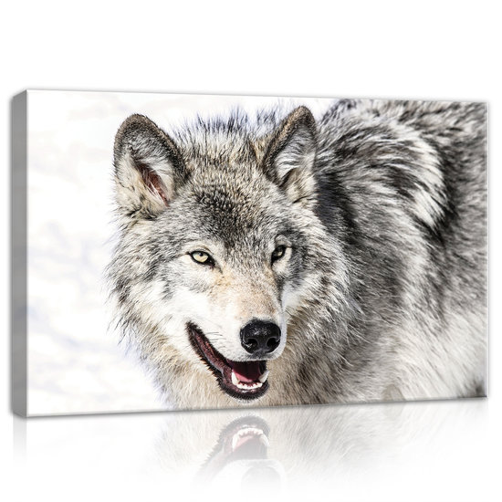 Snow Wolf Canvas Schilderij PP20307O4