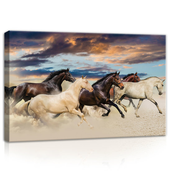 Galloping Mustangs Canvas Schilderij PP20305O4