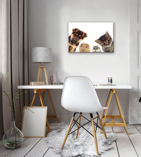 Animals Canvas Schilderij PP11785O4