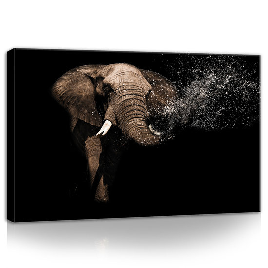 Elephant Canvas Schilderij PP11762O4