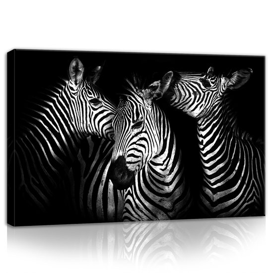 Zebra Canvas Schilderij PP11761O4