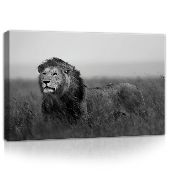 Lion  Canvas Schilderij PP11760O4