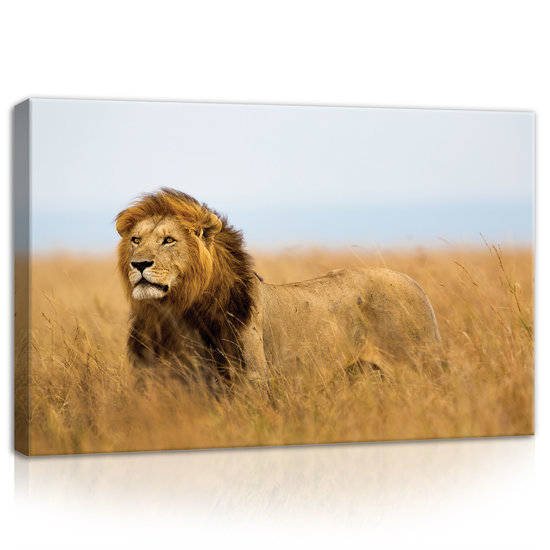 Lion Canvas Schilderij PP11750O4