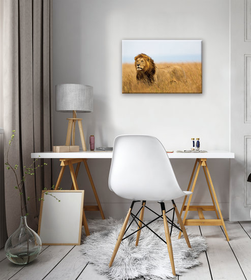 Lion Canvas Schilderij PP11750O4