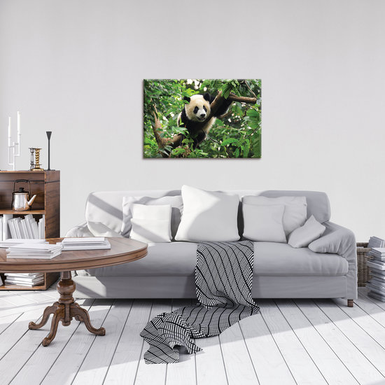 Panda Bear on the Tree Canvas Schilderij PP10238O4