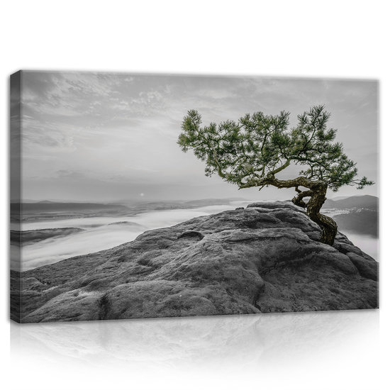 The tree on the rock Canvas Schilderij PP11759O4