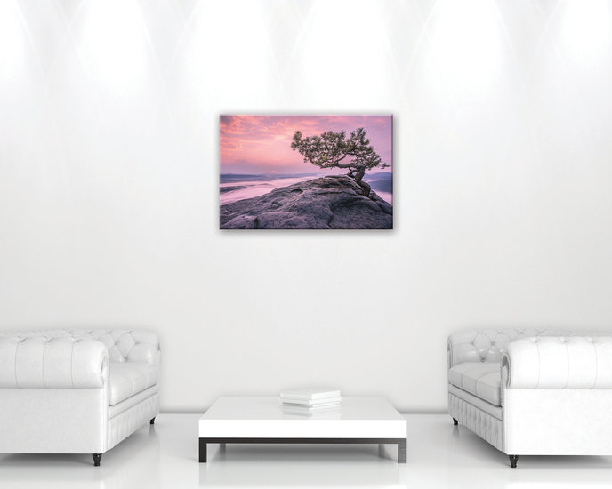 The tree on the rock Canvas Schilderij PP11749O4