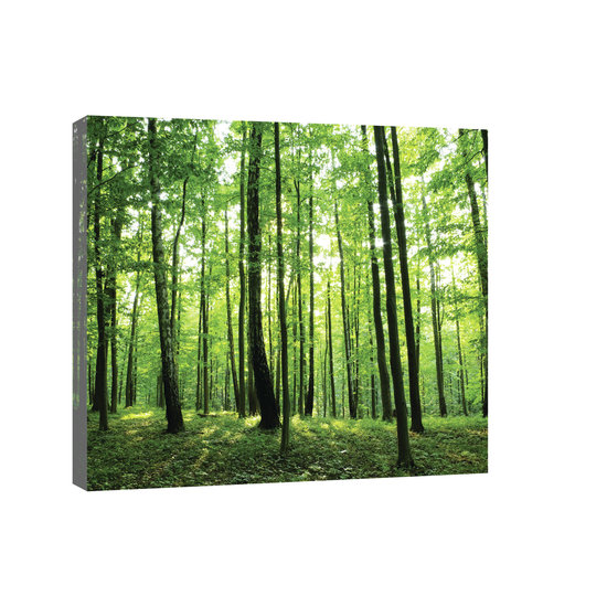 Green Forest Canvas Schilderij PP20011O4