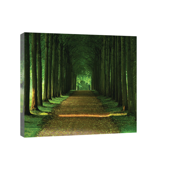 Dark Forest Alley Canvas Schilderij PP20005O4