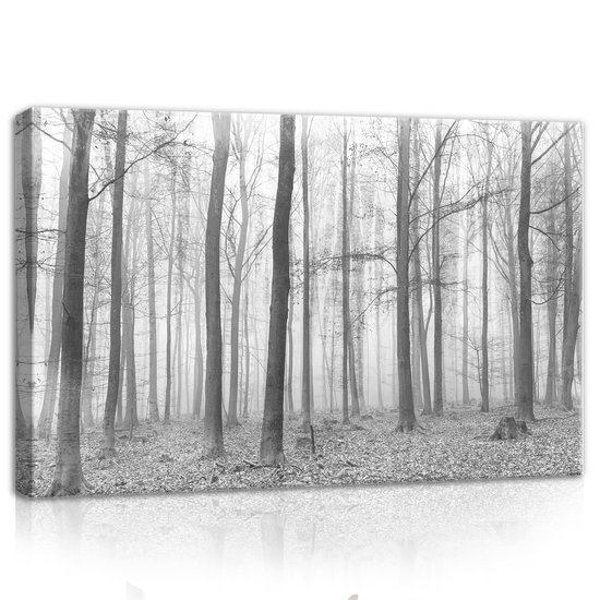 Forest Canvas Schilderij PP11223O4