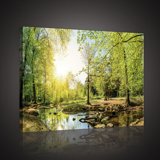 Green Forest Canvas Schilderij PP10508O4