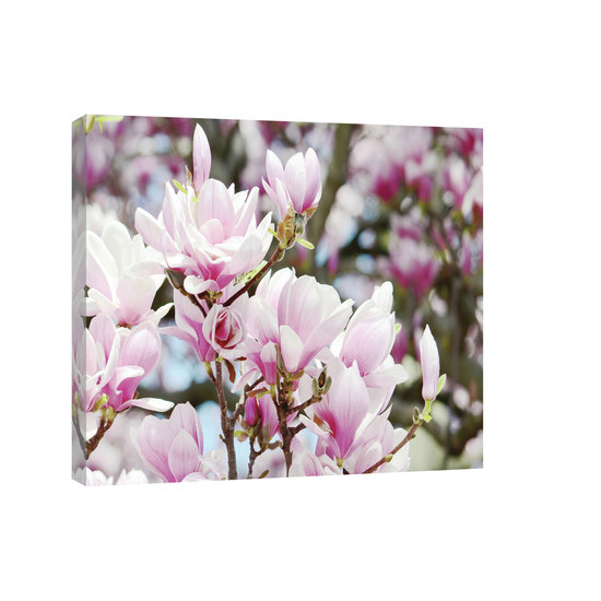 Spring Blooming Flowers Canvas Schilderij PP2463O4