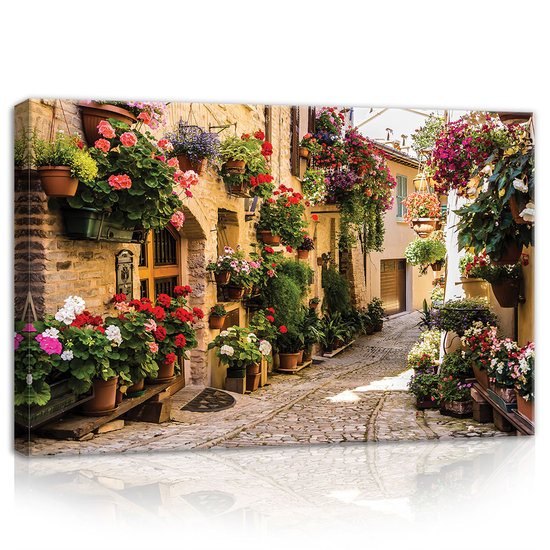 Street with flowers Canvas Schilderij PP20527O4