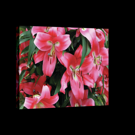 Red Lilies Canvas Schilderij PP20027O4