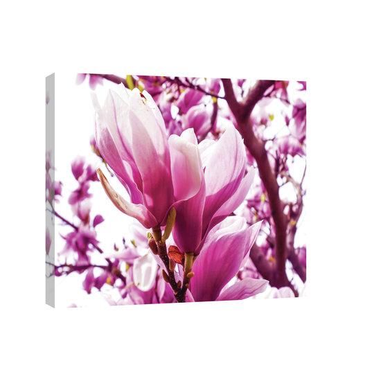 Pink Magnolia Canvas Schilderij PP20009O4