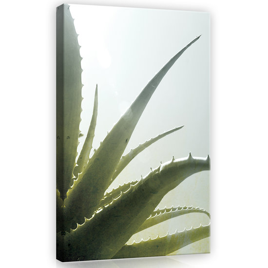 Cactus Canvas Schilderij PP11972O4