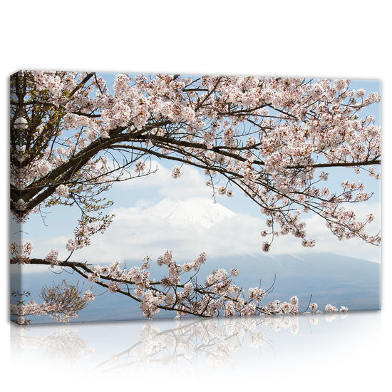 Cherry blossoms Canvas Schilderij PP11800O4