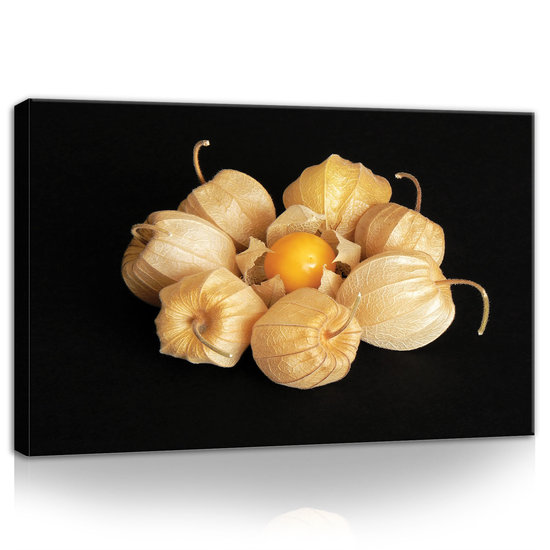 Physalis Canvas Schilderij PP11780O4