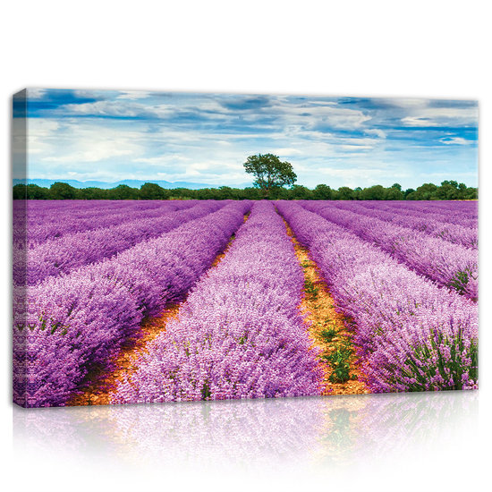 Heather field Canvas Schilderij PP11039O4